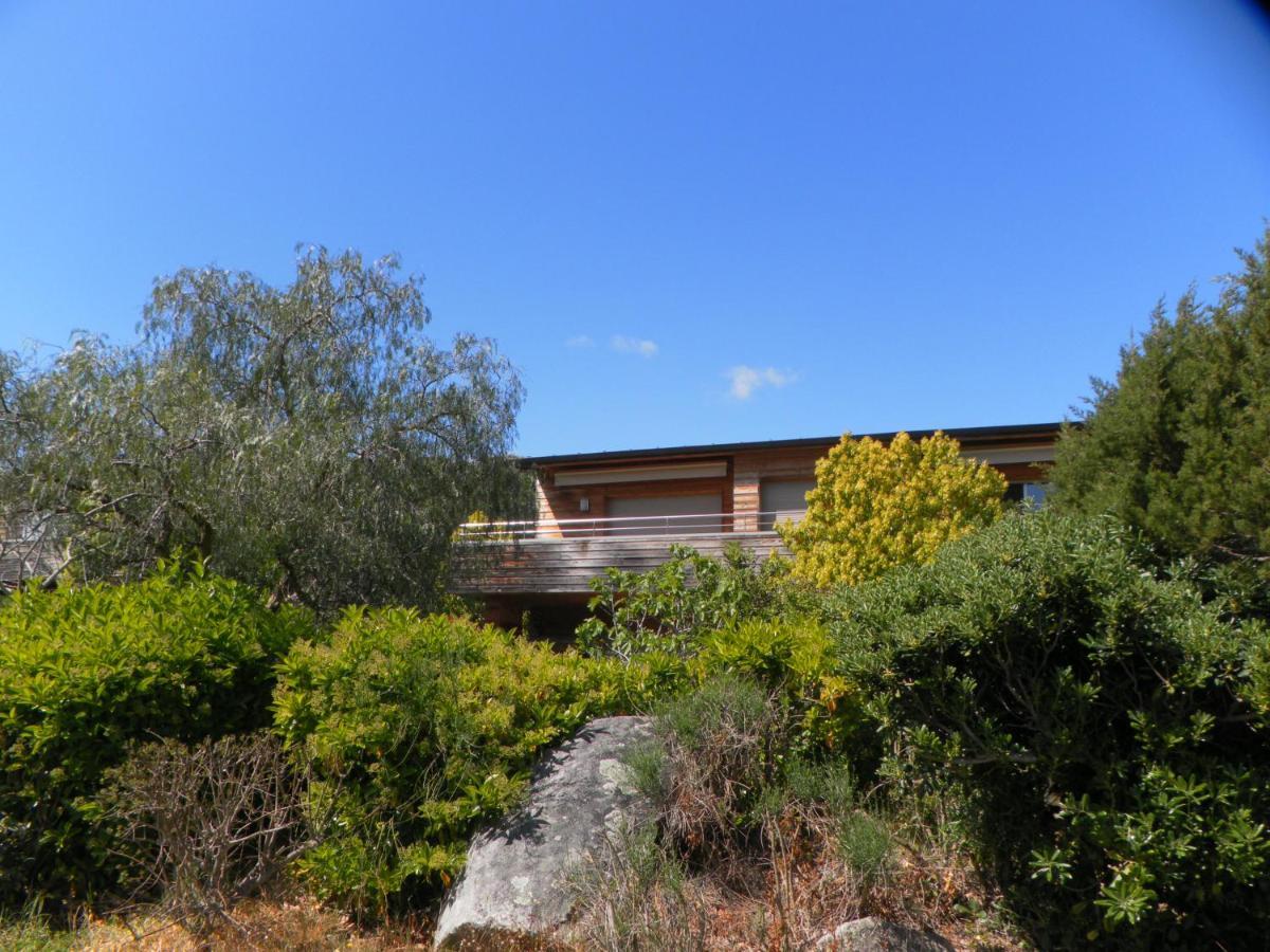 Studio 4 Pers Piscine Chauffee Acces A Pied A La Plage Santa Giulia Porto-Vecchio  Exterior photo